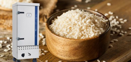 những mối nguy hại khôn lường khi sử dụng tủ nấu cơm giá rẻ